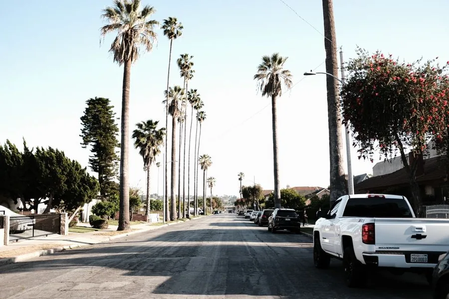 A wide Los Angeles street lined with tall palm trees and parked cars on a clear day