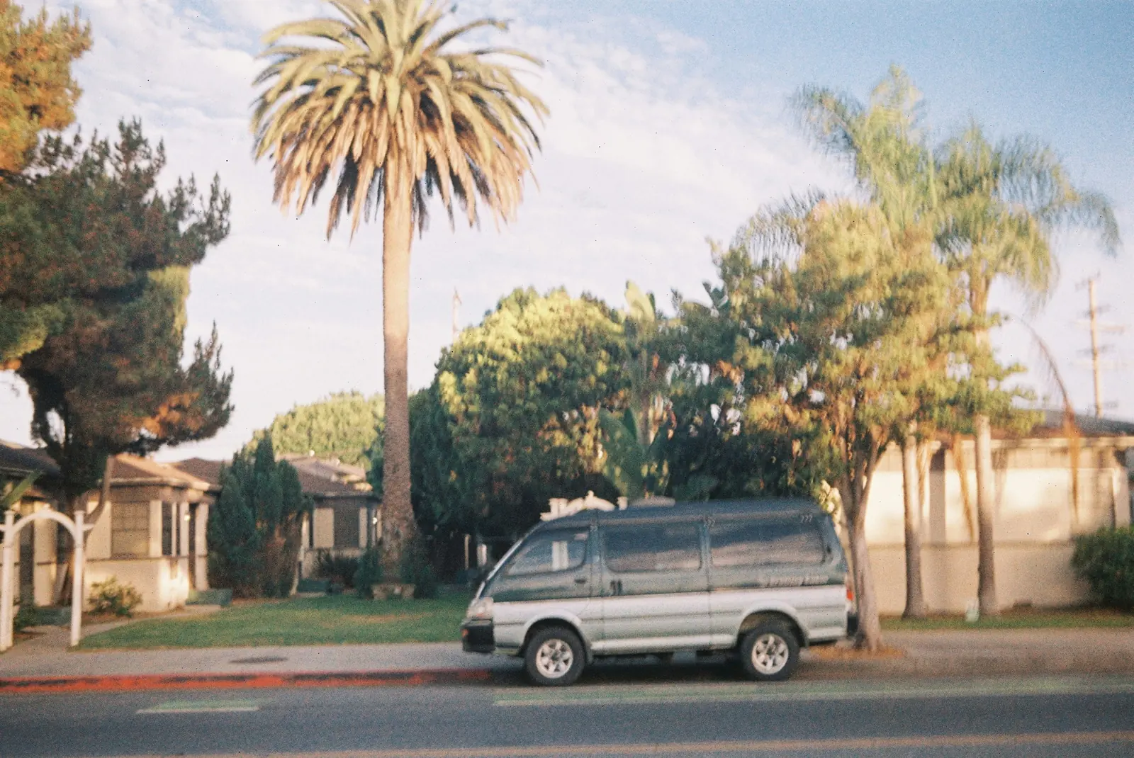 A quiet residential street of single storey houses with a van parked under tall palm trees